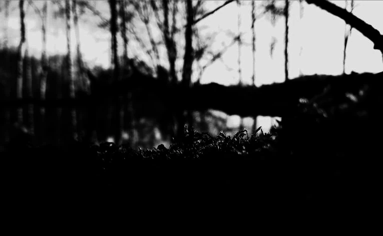 Landscape in Blur 2#